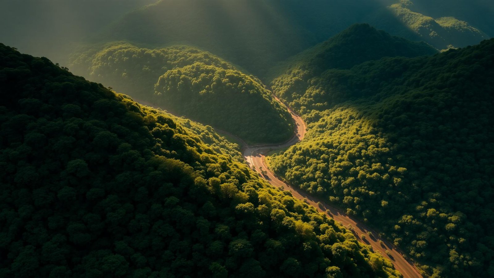 Vista aérea de um vale com mata nativa e rio ao amanhecer